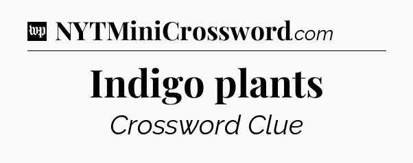 Indigo plants Crossword Clue