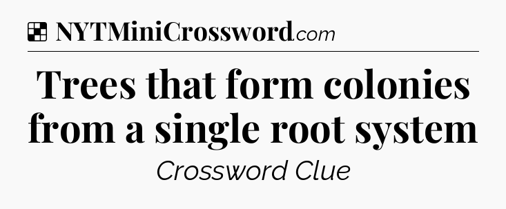 Solution: Trees that form colonies from a single root system - NYT Crossword