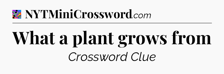 What a plant grows from Crossword Clue