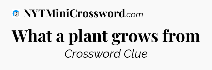 What a plant grows from Crossword Clue