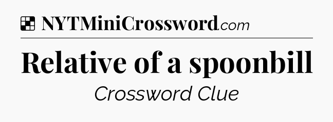 Solution: Relative of a spoonbill - NYT Crossword