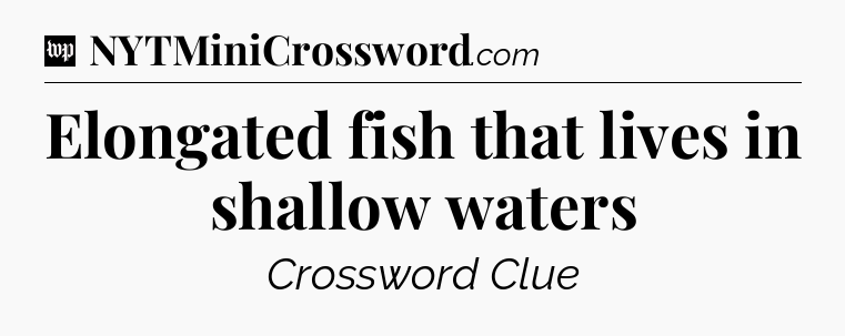 Elongated fish that lives in shallow waters Crossword Clue