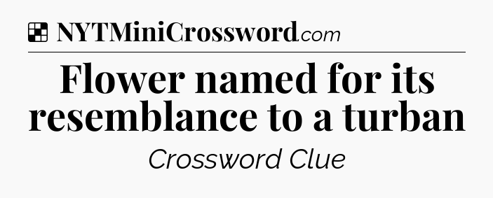 Solution: Flower named for its resemblance to a turban - NYT Crossword
