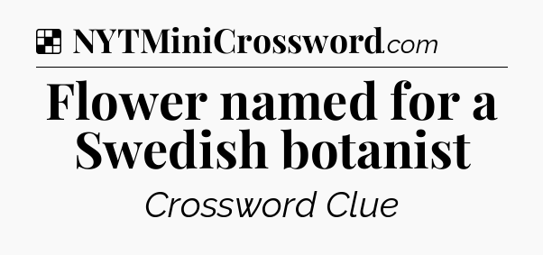 Solution: Flower named for a Swedish botanist - NYT Crossword