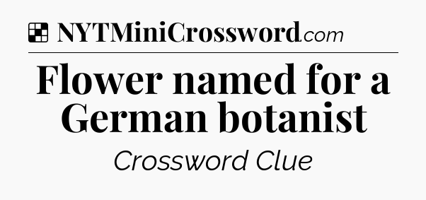 Solution: Flower named for a German botanist - NYT Crossword