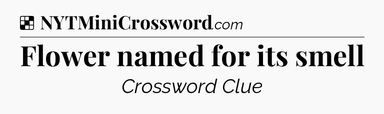 Solution: Flower named for its smell - NYT Crossword