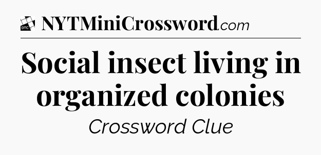 Social insect living in organized colonies - Daily Themed Classic Crossword