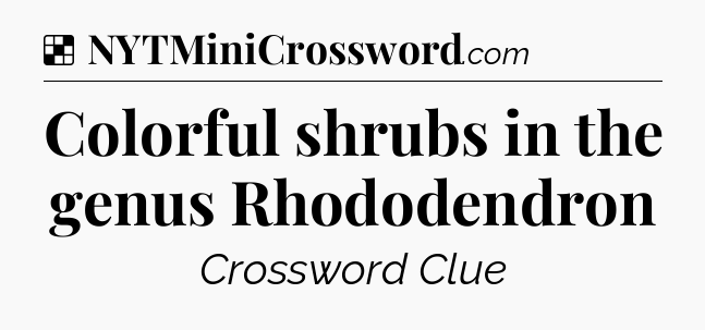 Solution: Colorful shrubs in the genus Rhododendron  - NYT Crossword