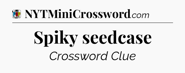 Spiky seedcase Crossword Clue