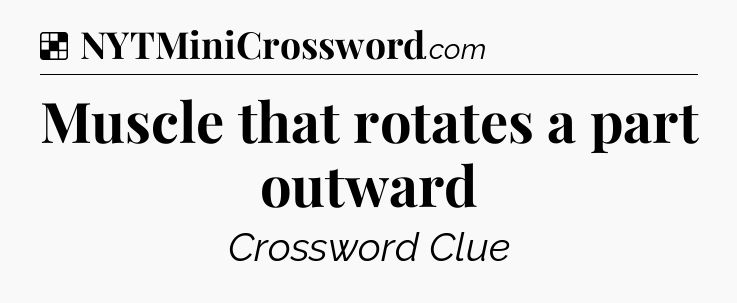 Solution: Muscle that rotates a part outward - NYT Crossword