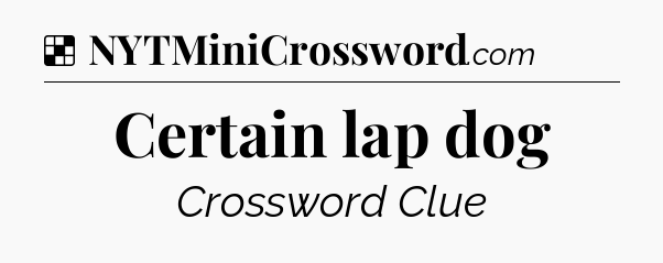 Solution: Certain lap dog - NYT Crossword