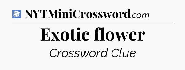 Exotic flower Puzzle Page Crossword Clue