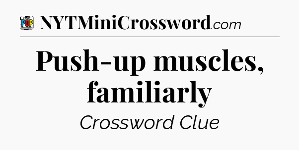 Push-up muscles, familiarly Crossword Clue