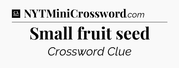 Small fruit seed - LA Times Crossword