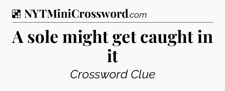 Solution: A sole might get caught in it - NYT Crossword