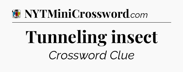 Tunneling insect Crossword Clue