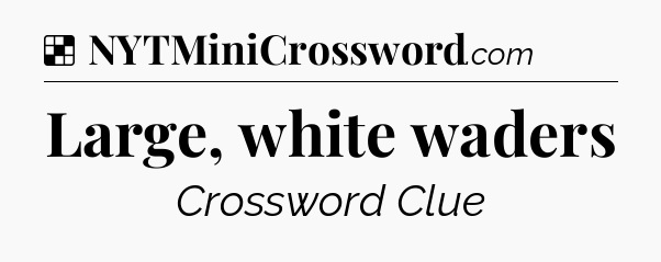 Solution: Large, white waders - NYT Crossword