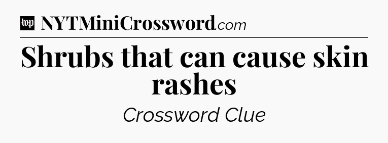 Shrubs that can cause skin rashes Crossword Clue
