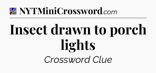 Insect drawn to porch lights Crossword Clue