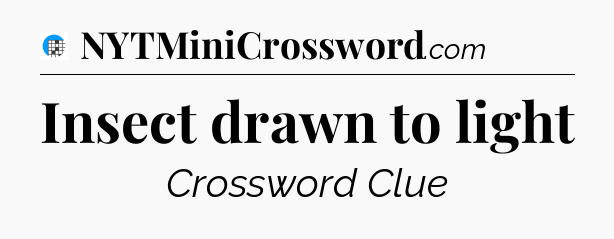 Insect drawn to light Crossword Clue