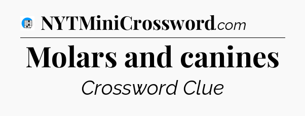Molars and canines Crossword Clue