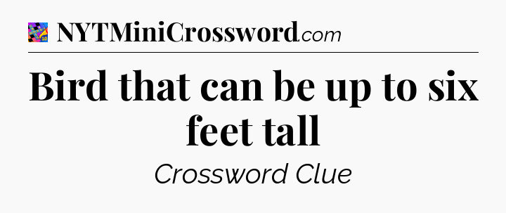 Bird that can be up to six feet tall Crossword Clue