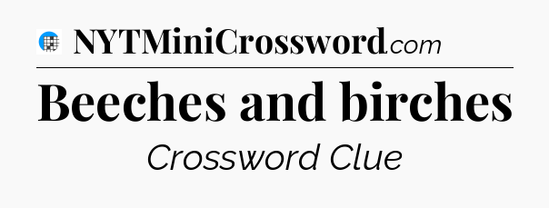 Beeches and birches Crossword Clue