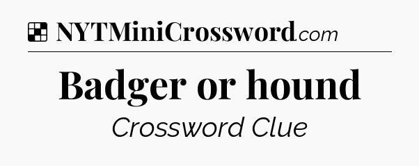 Solution: Badger or hound - NYT Crossword