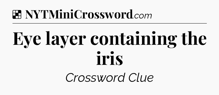 Solution: Eye layer containing the iris - NYT Crossword