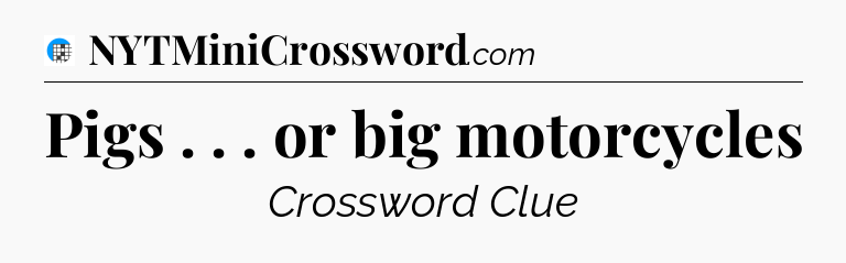 Pigs . . . or big motorcycles Crossword Clue