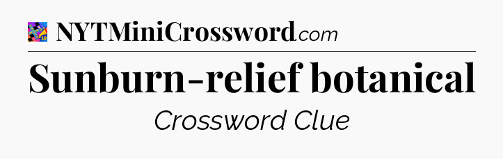 Sunburn-relief botanical Crossword Clue