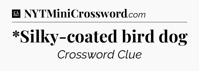 *Silky-coated bird dog - LA Times Crossword