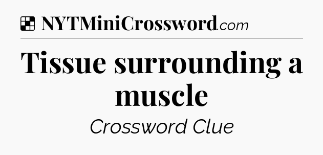 Solution: Tissue surrounding a muscle - NYT Crossword