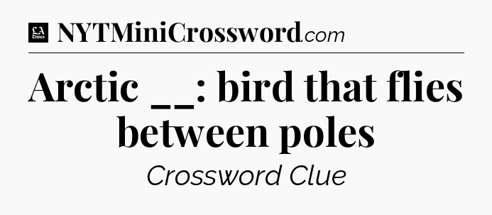 Arctic __: bird that flies between poles - LA Times Crossword
