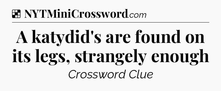 Solution: A katydid's are found on its legs, strangely enough - NYT Crossword