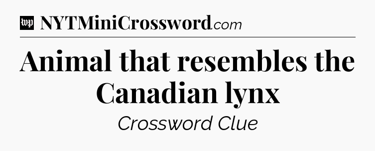 Animal that resembles the Canadian lynx Crossword Clue