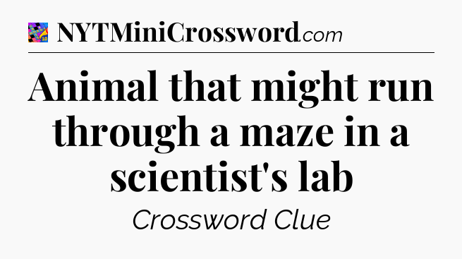 Animal that might run through a maze in a scientist's lab Crossword Clue