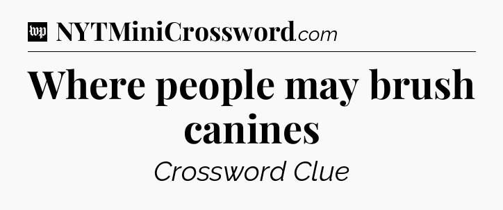 Where people may brush canines Crossword Clue