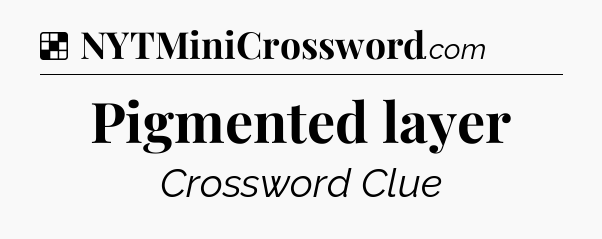 Solution: Pigmented layer - NYT Crossword