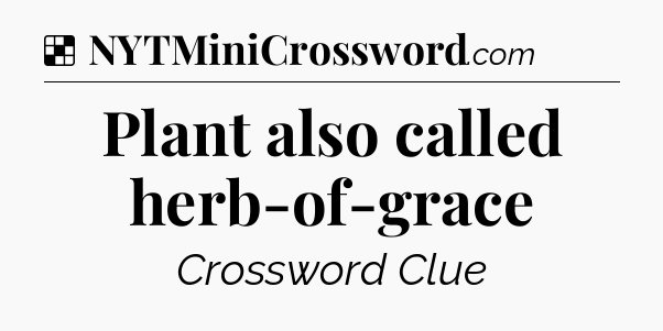 Solution: Plant also called herb-of-grace - NYT Crossword