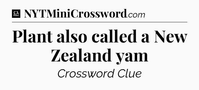 Plant also called a New Zealand yam - LA Times Crossword