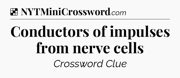 Solution: Conductors of impulses from nerve cells - NYT Crossword
