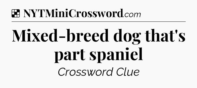 Solution: Mixed-breed dog that's part spaniel - NYT Crossword