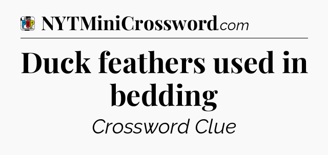 Duck feathers used in bedding Crossword Clue