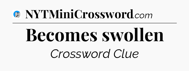 Becomes swollen Crossword Clue