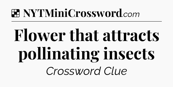 Solution: Flower that attracts pollinating insects - NYT Crossword