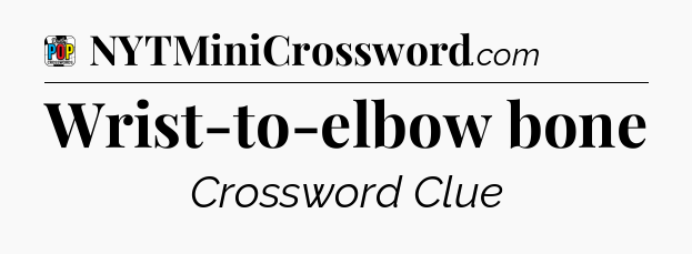 Wrist-to-elbow bone Crossword Clue