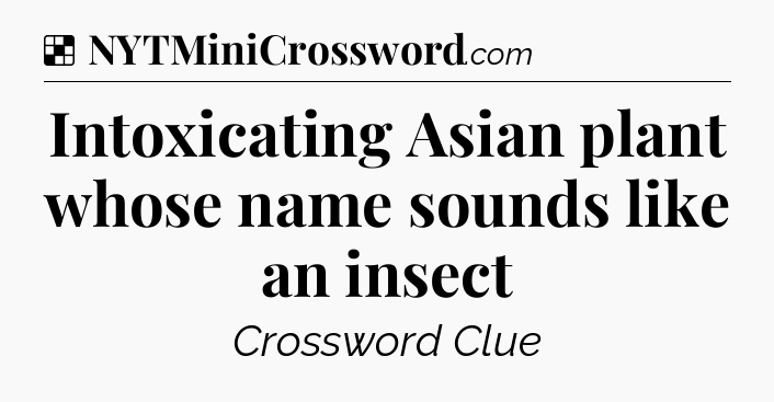 Solution: Intoxicating Asian plant whose name sounds like an insect - NYT Crossword