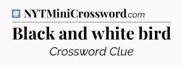 Black and white bird Puzzle Page Crossword Clue
