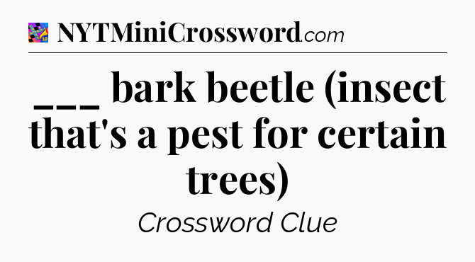 ___ bark beetle (insect that's a pest for certain trees) Crossword Clue